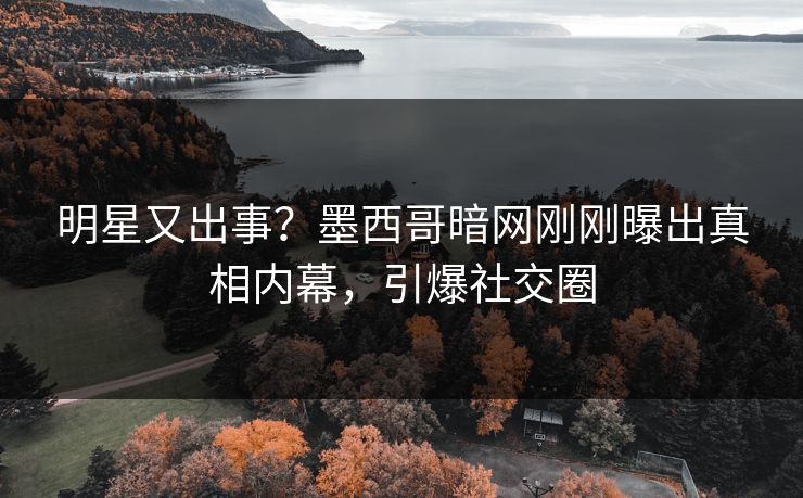 明星又出事？墨西哥暗网刚刚曝出真相内幕，引爆社交圈