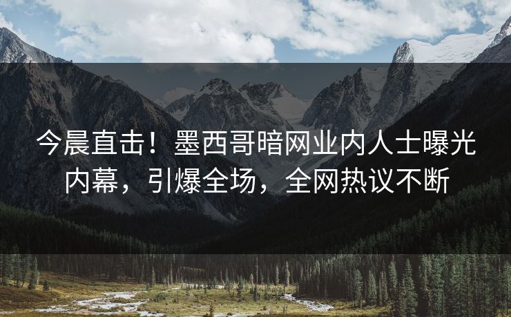 今晨直击！墨西哥暗网业内人士曝光内幕，引爆全场，全网热议不断