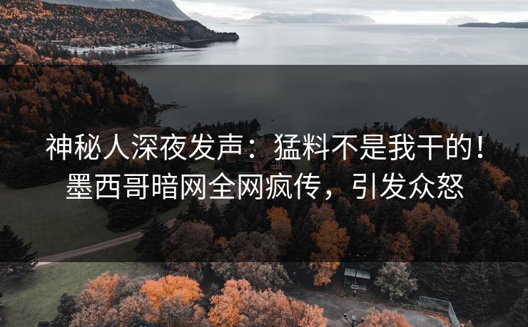 神秘人深夜发声：猛料不是我干的！墨西哥暗网全网疯传，引发众怒